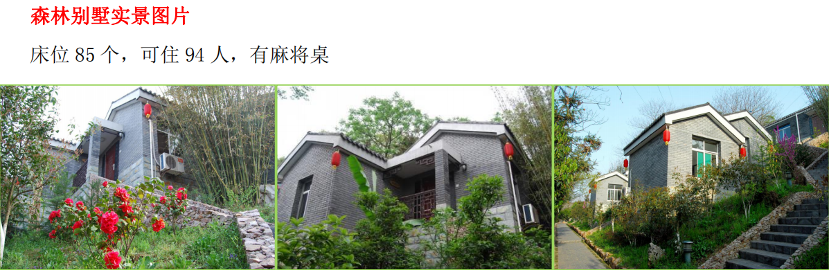 湖北正念