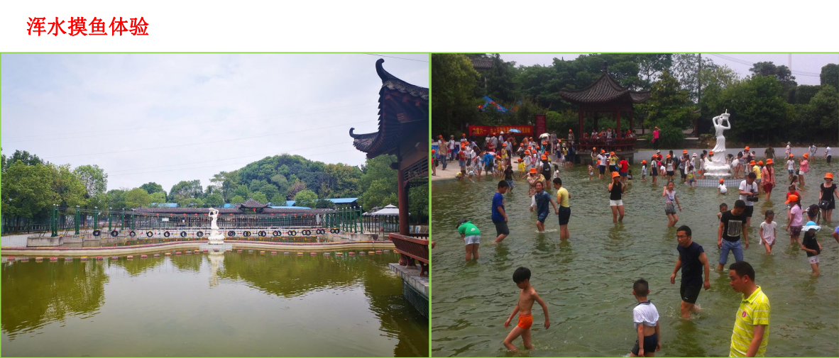 湖北正念