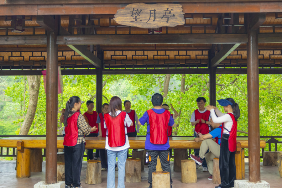 飞盘团建 飞盘团建