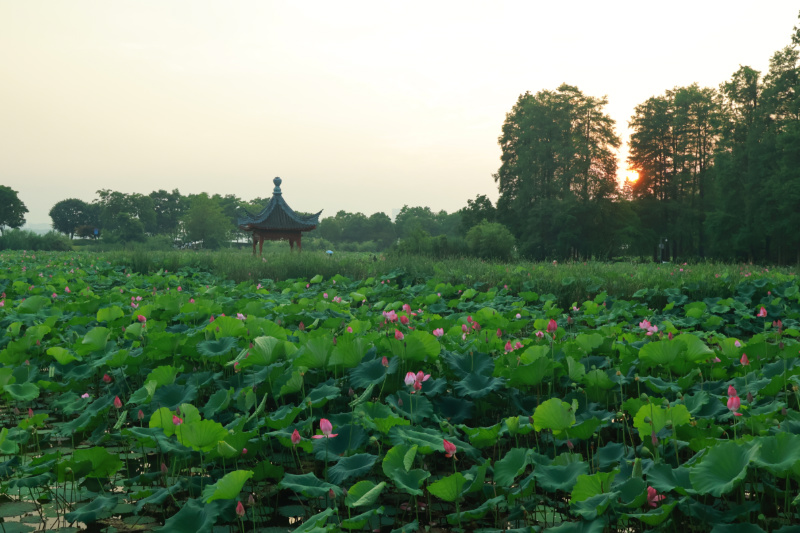 东湖磨山景区
