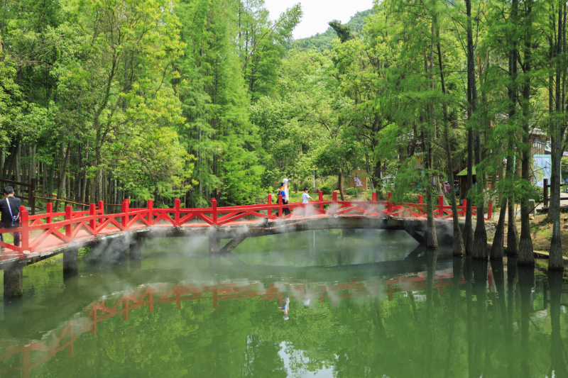 蔡甸九真山景区