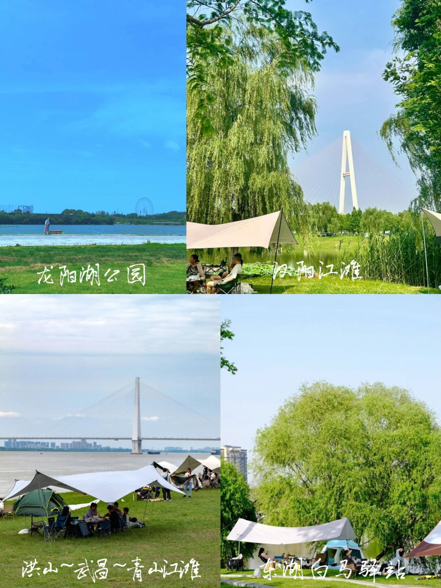 龙阳湖公园、汉阳江滩等露营实景