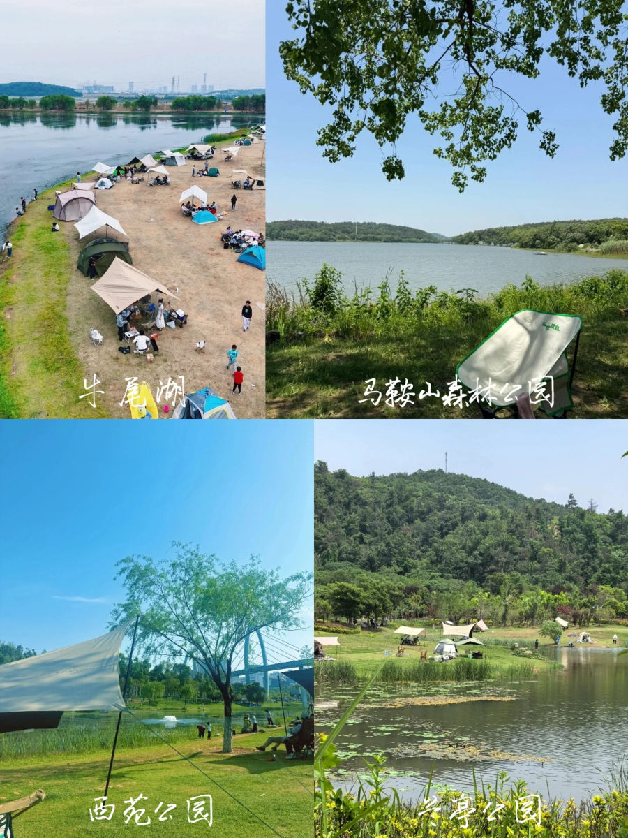 牛尾湖、马鞍山森林公园等露营实景