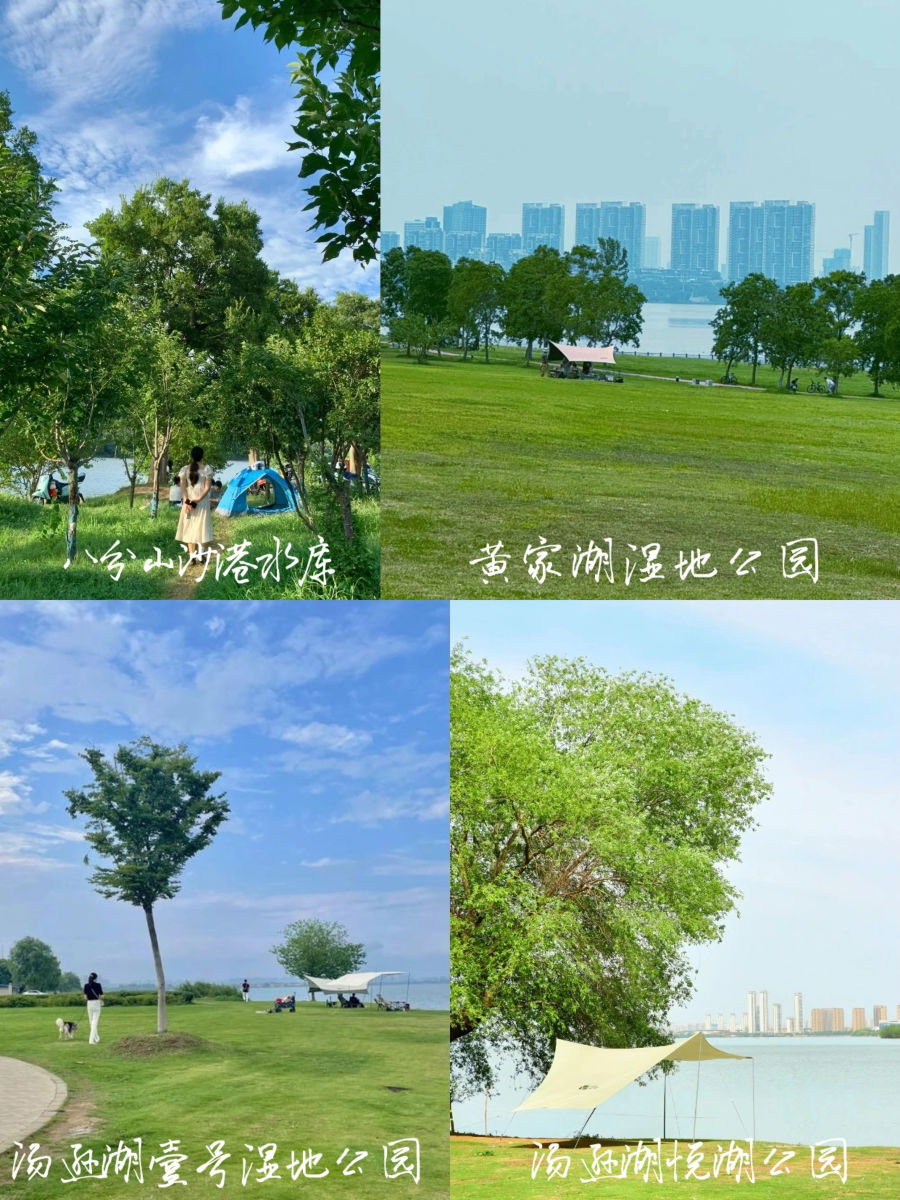 八分山沙港水库等露营实景