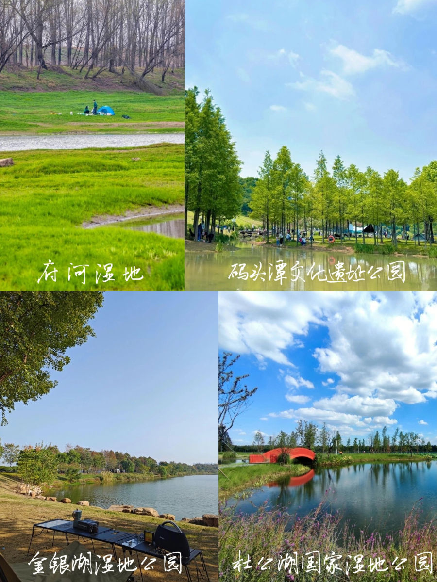 府河湿地、码头潭公园等露营实景