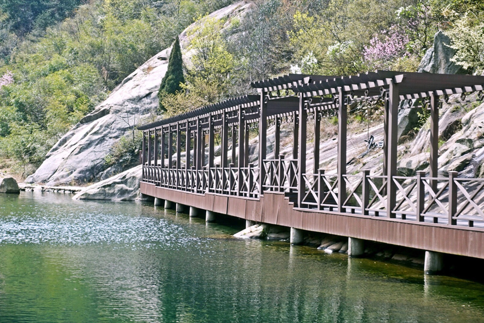 姚家山溪谷步道团建场景