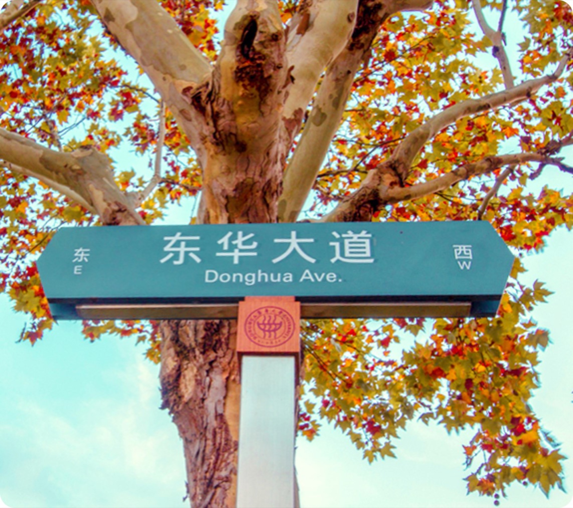神农架天生桥栈道与峡谷风景