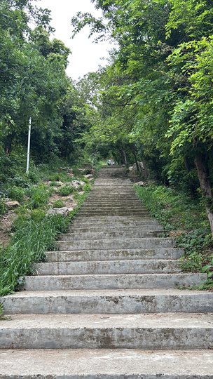 江夏八分山林间登山台阶