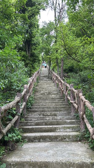 江夏八分山带护栏的林间台阶