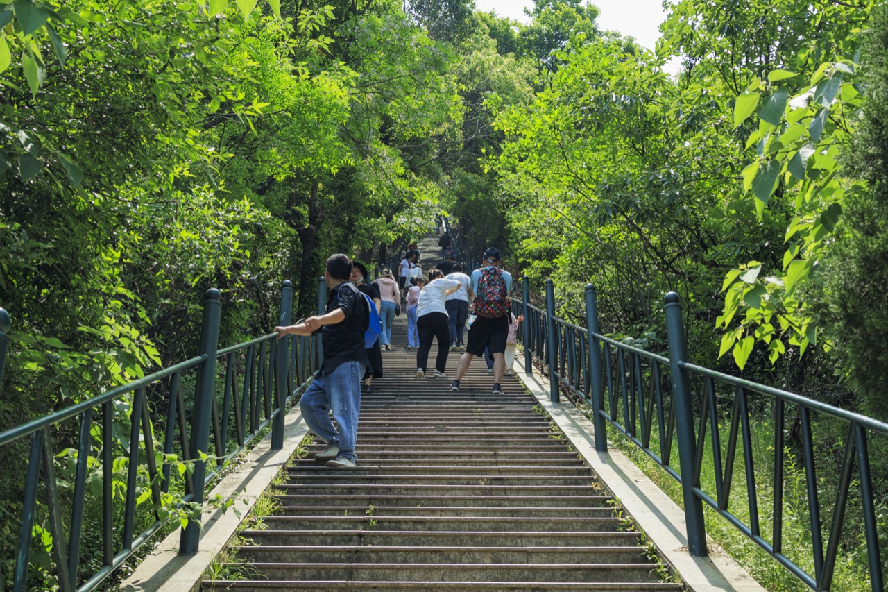 清凉寨登山步道与山林景致