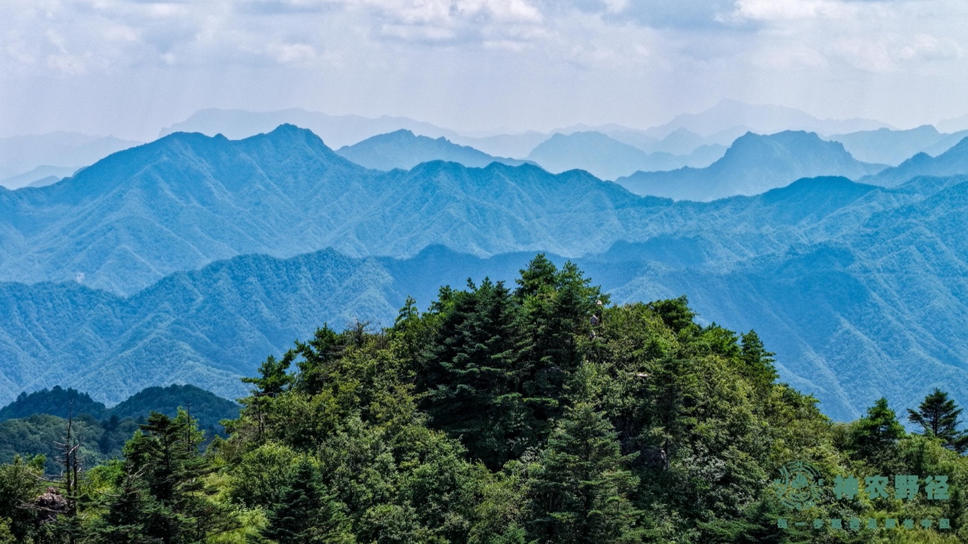 铙钹顶360°云海观景——不是景区人挤人，而是专属团队的私人视野