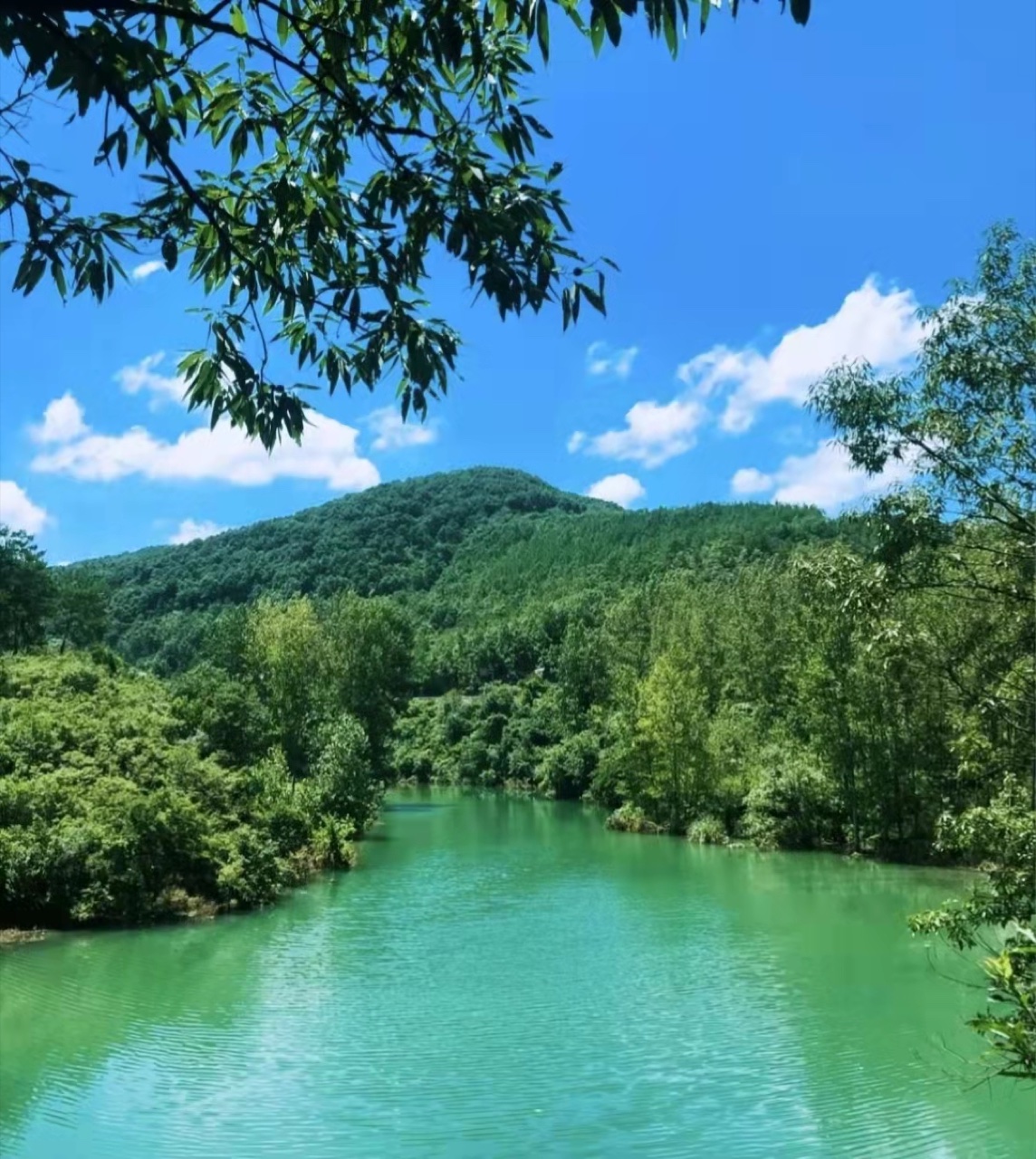 美人瀑从26米直壁山体飞流直下,是美人谷的标志性景观
