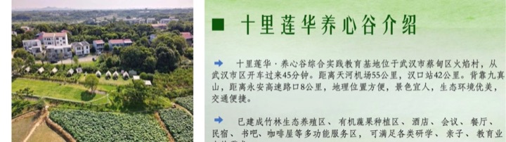 园区航拍