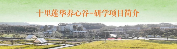 园区全景