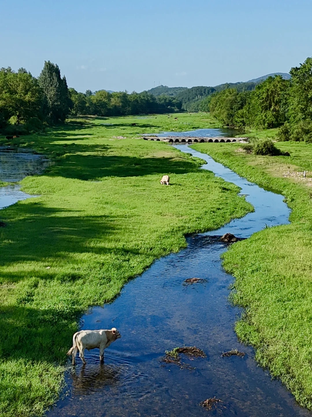 红安杨家河溯溪场景——