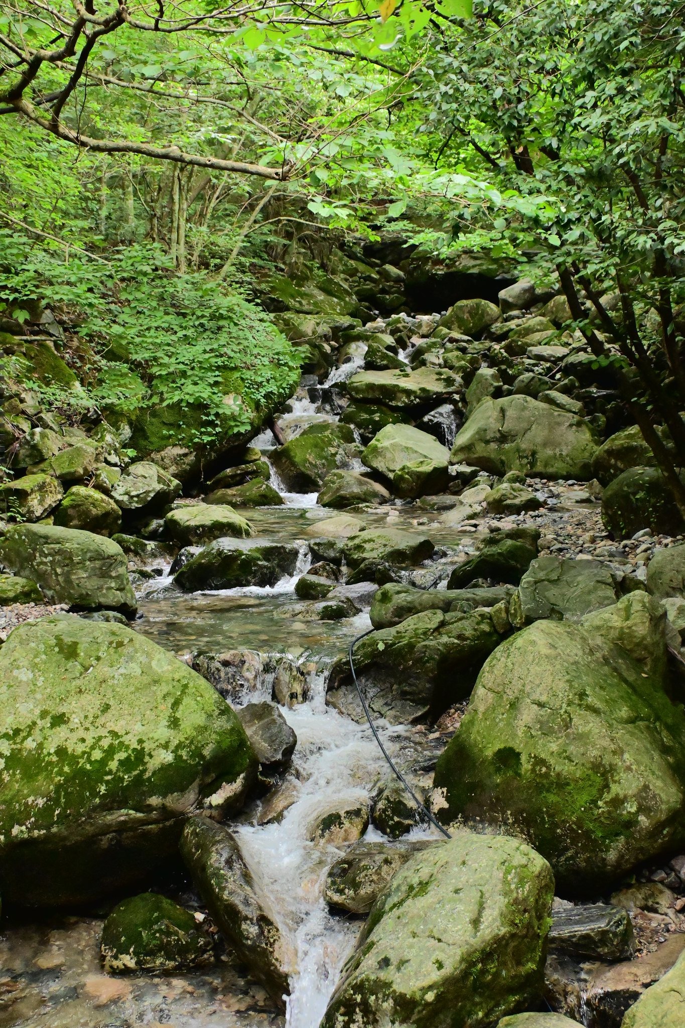 天堂寨龙剑峰大瀑布,代表天堂寨玩水项目