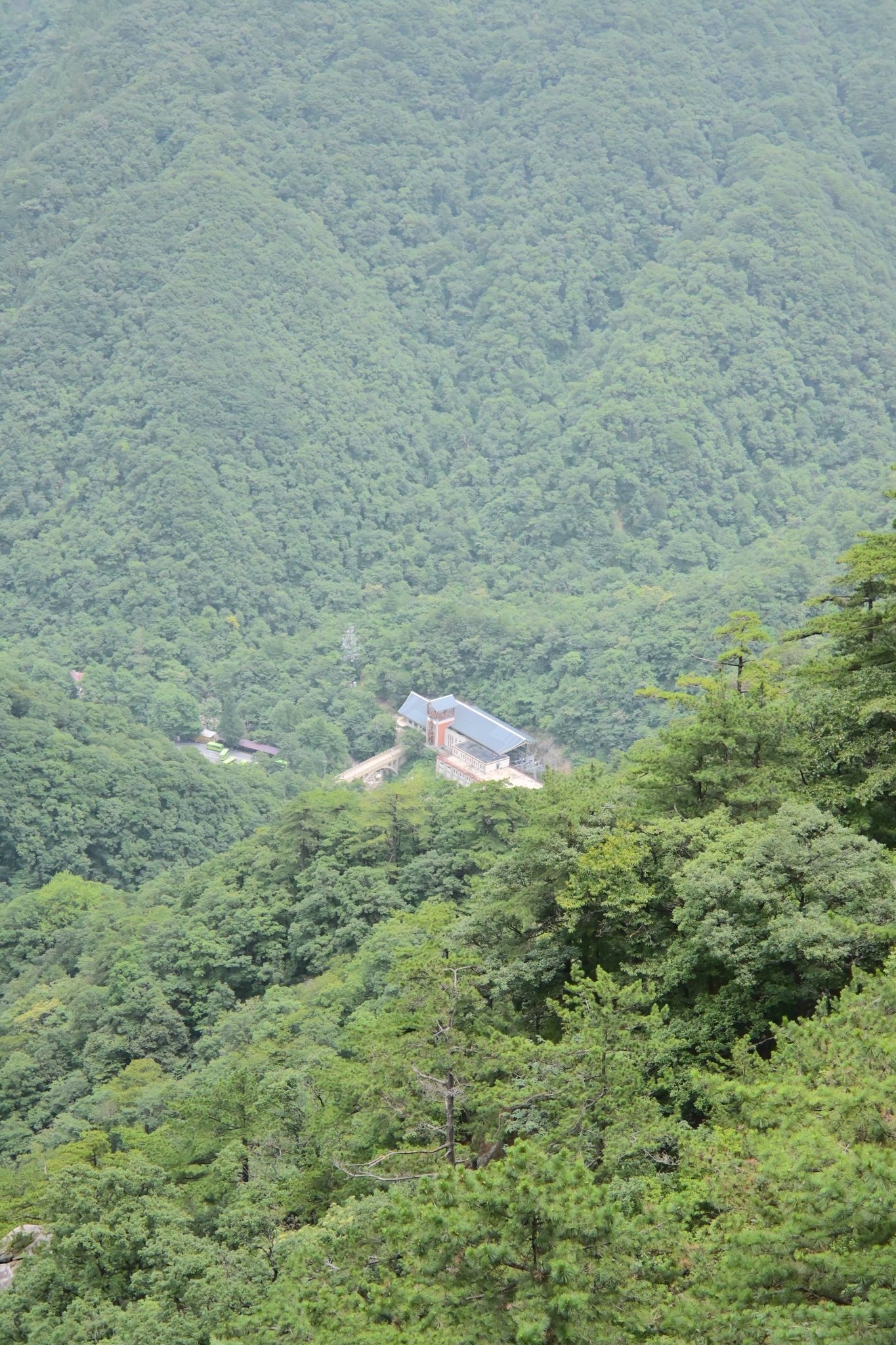 天堂寨山谷俯瞰+绿林,代表天堂寨全景