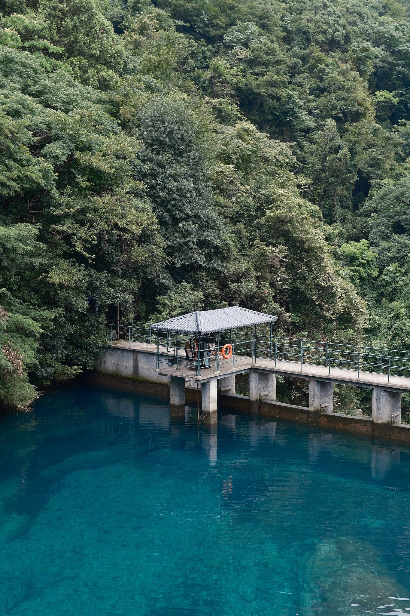 庐山五老峰远眺,山峰在云海中