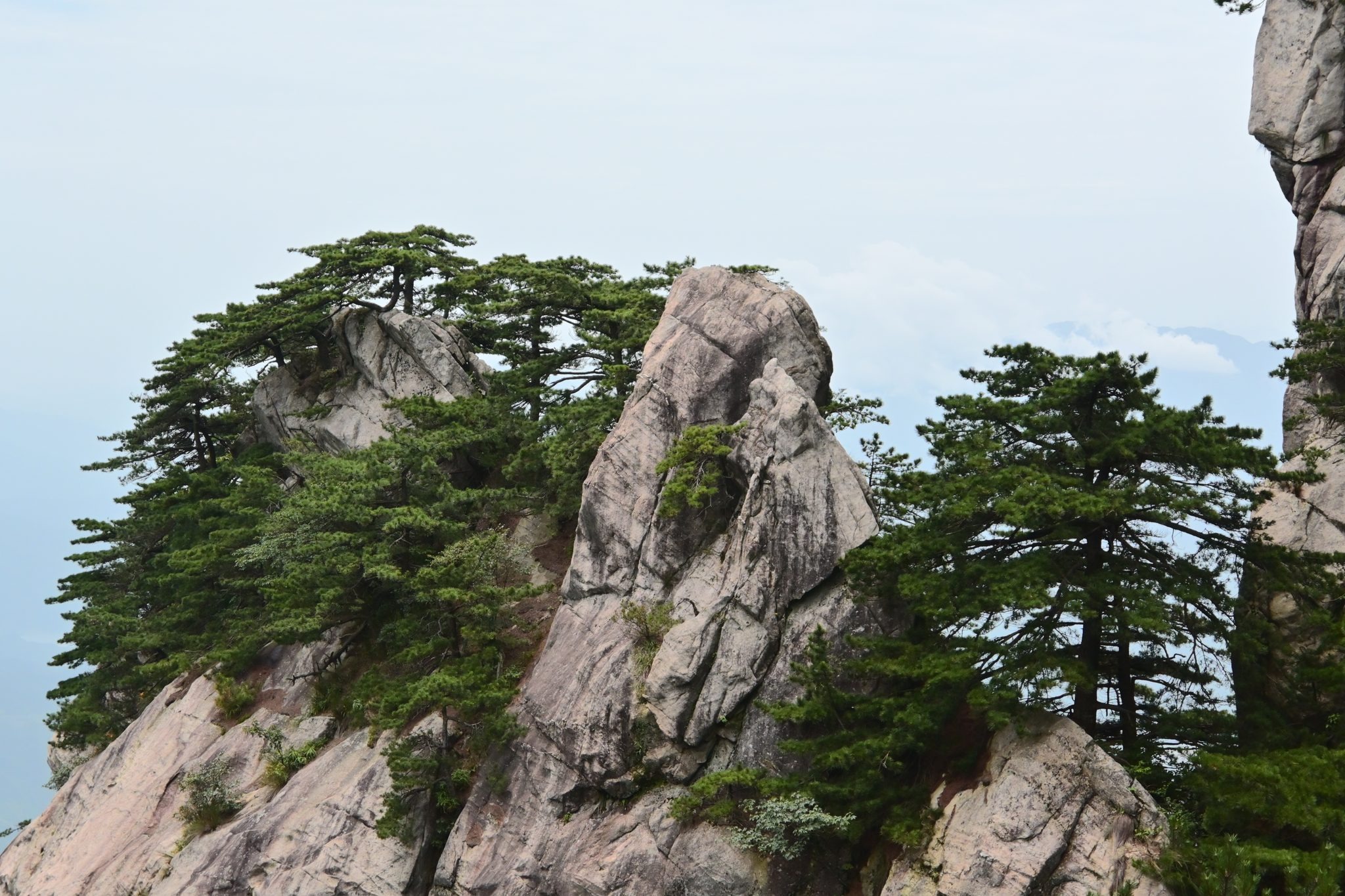 天堂寨迎客松与远山云海
