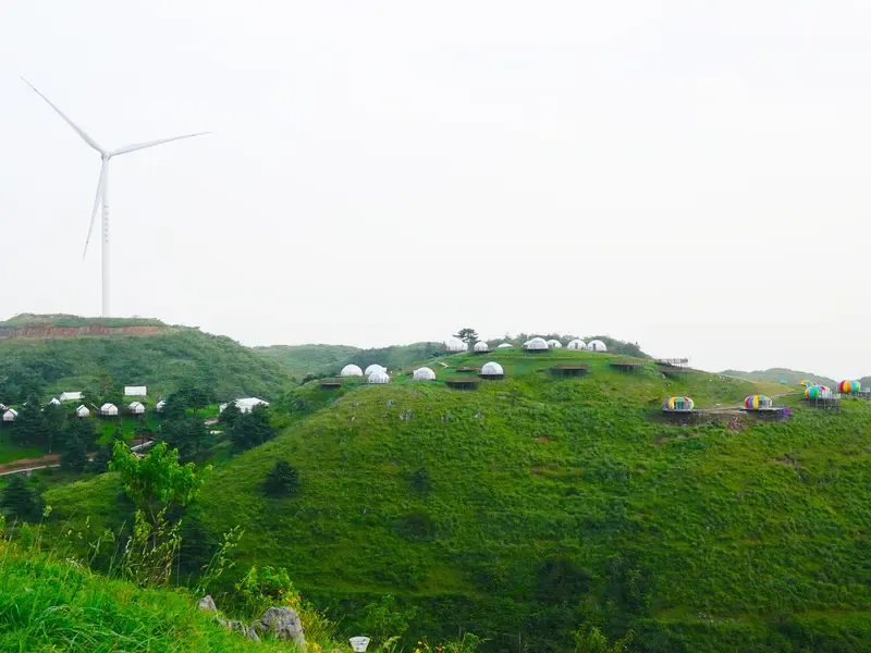 百里荒山顶蓝天远山松树观景台