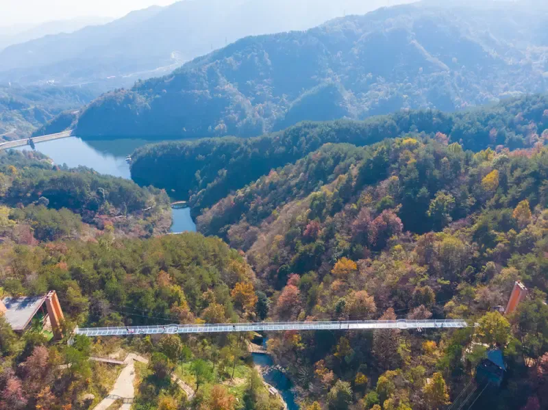 清凉寨林荫山道