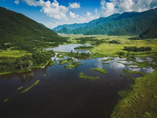 神农架大九湖湿地航拍,湖光山色,适合 30-50 人夏季团建