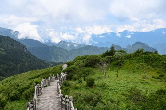 神农架高山栈道,绿草云杉,适合轻量徒步团建