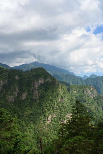 神农架山崖+云海,绿林覆盖,夏季避暑氛围