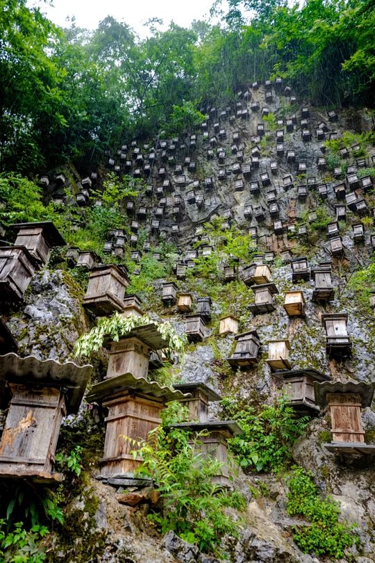 神农架悬崖蜂箱特写,生态保护坚守象征