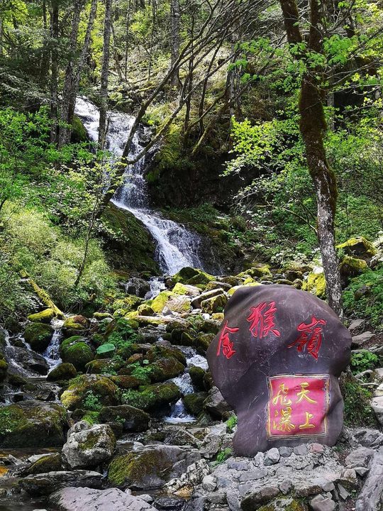 神农架森林瀑布+绿叶+石刻,适合拓展主题