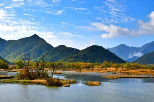 神农架湿地+秋季+枯树+湖,小众机位