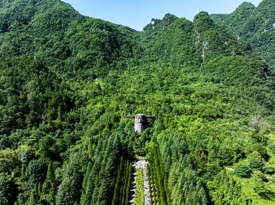 神农架森林步道+绿林,徒步场景