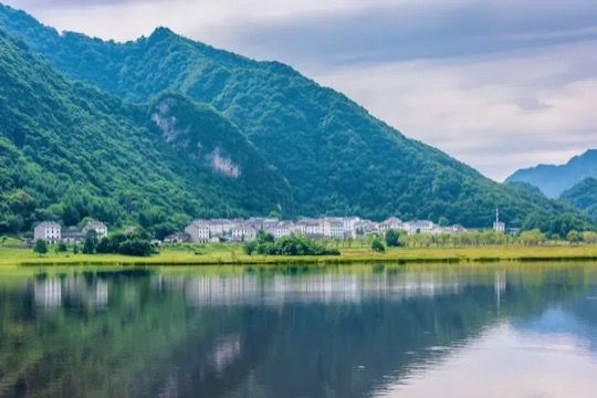 神农架木鱼镇森林实拍