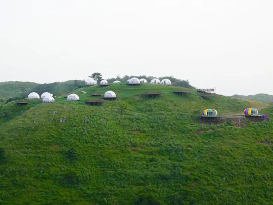 百里荒高山草原实拍