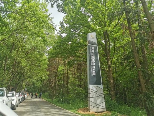 青龙山更有山野感，第一次组织建议先踏线再截取短线。