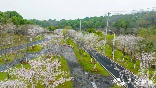 13 公里绿道可以截取使用，不必要求企业队伍走完全程。