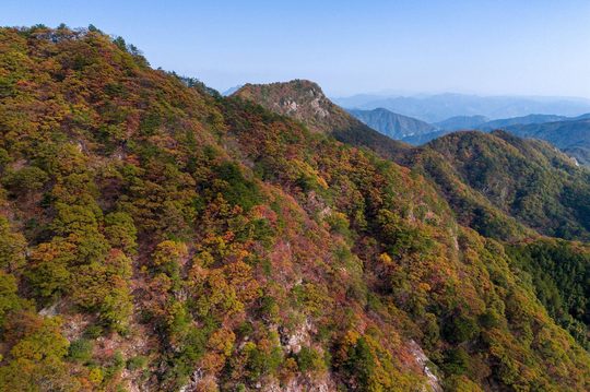 明堂山往年秋季实景；图片不代表今年团期当天的叶色。