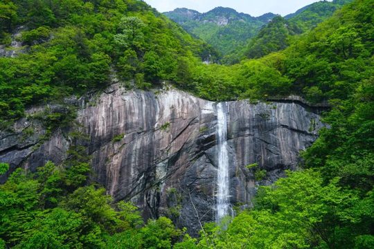 林木与瀑布构成的峡谷近景，为登高之外的景观内容提供参考。