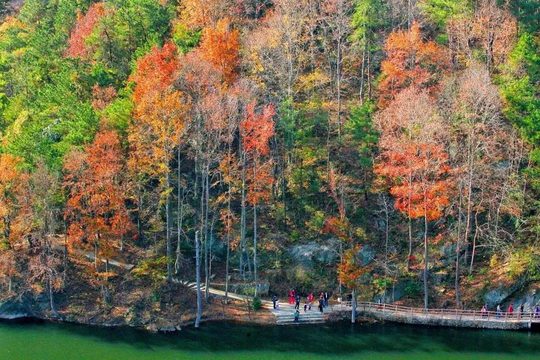 湖水、林木与沿途步道相伴,留出停下来看景的时间。图片来源:武汉清凉寨景区。