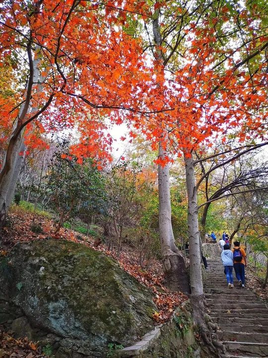登高路段实景,台阶与上行强度需要在选线时说清。图片来源:武汉清凉寨景区。