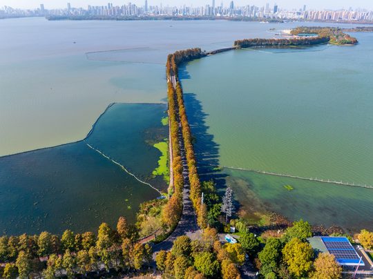 东湖往年秋景。本文沿湖与磨山为不同选线方向,不将照片中的地点全部拼作同一条步行线。
