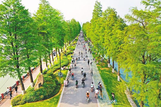 东湖林荫绿道实景,起终点和步行范围按实际团期落实。