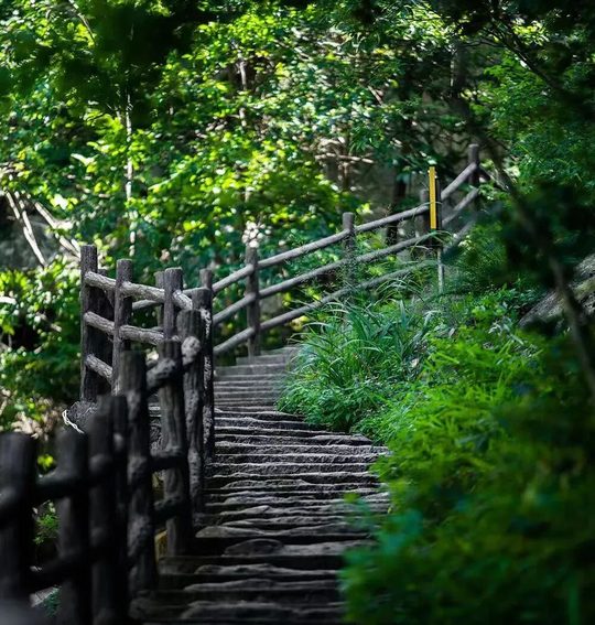 林间台阶实景。实际路线与队员体力一起确定。