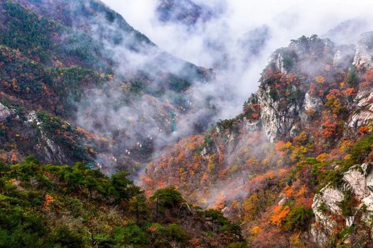 湖北罗田天堂寨秋景实拍。景区照片为历史实景,团期叶色与通行情况另行核对。