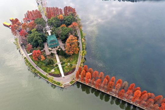 秋日湖畔，可以作为轻松漫游的选景方向。