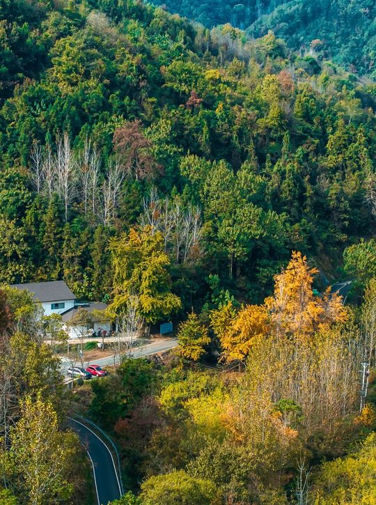 银杏谷片区的山林与村落秋景(资料实拍)。