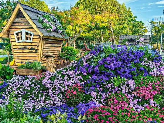 沙湖公园往届菊展花园景色（2025年资料图）。