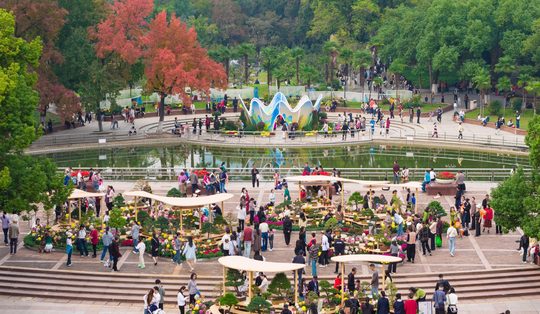 中山公园金秋菊展实景（2025年资料图）。