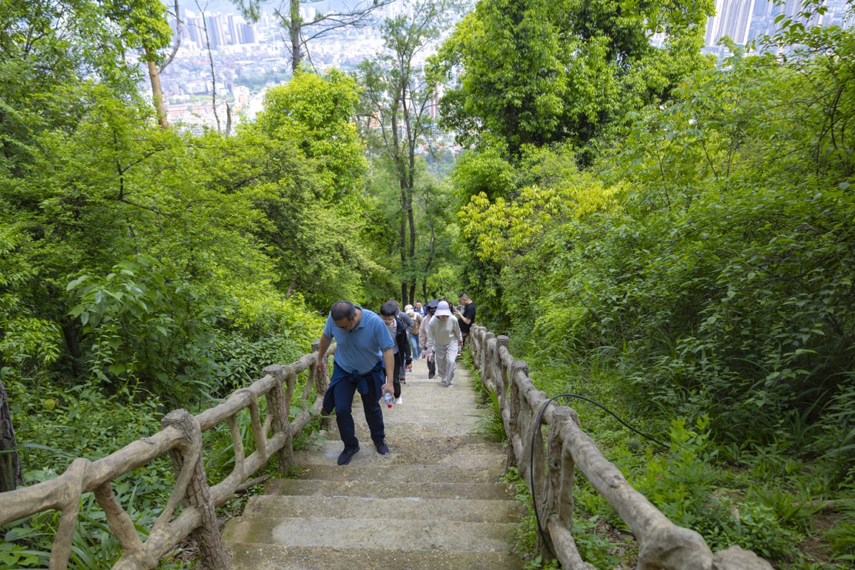 青龙山/八分山徒步穿越